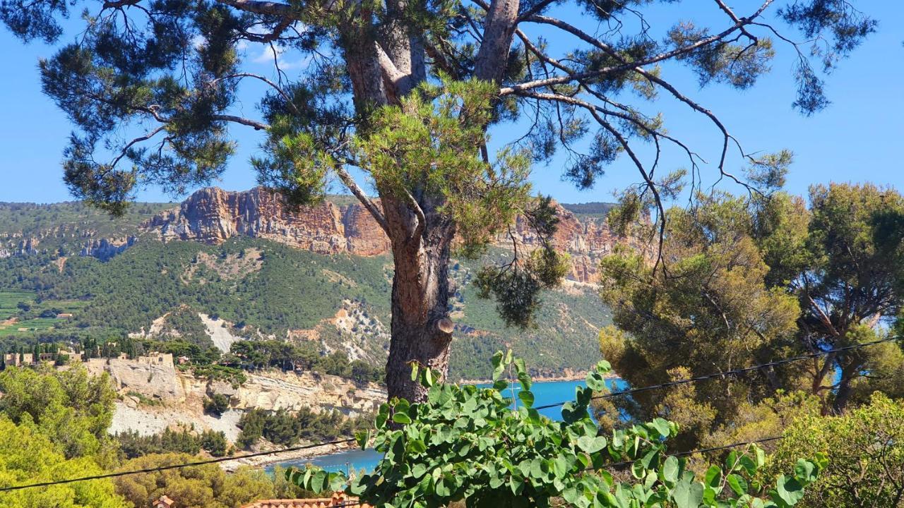 T3 Avec Jardin Dans Rocaille Appartement