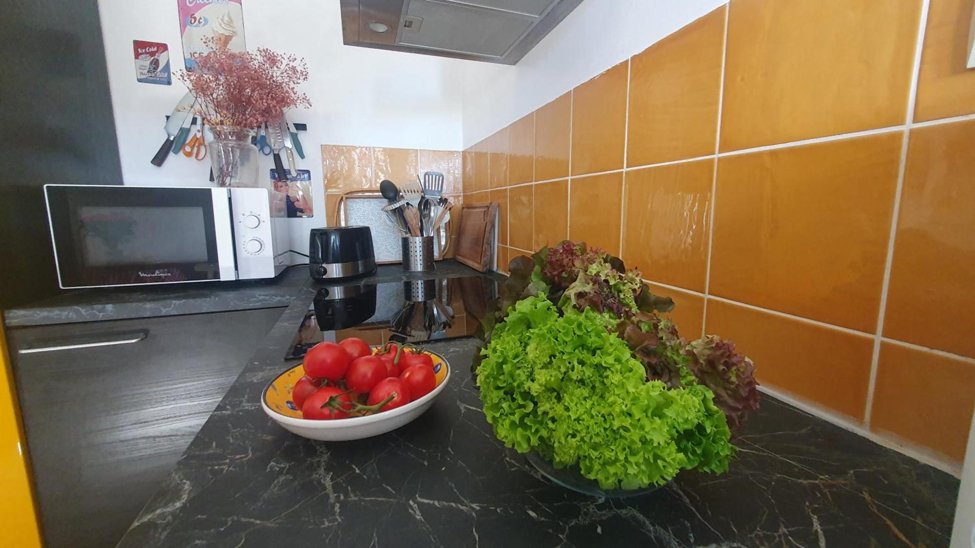 Apartment Avec Jardin Dans Rocaille