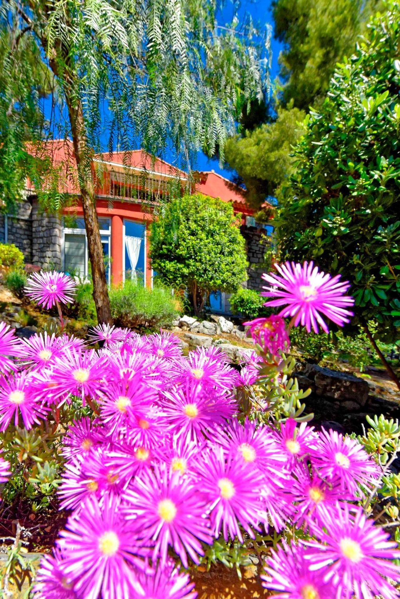 Apartment Avec Jardin Dans Rocaille